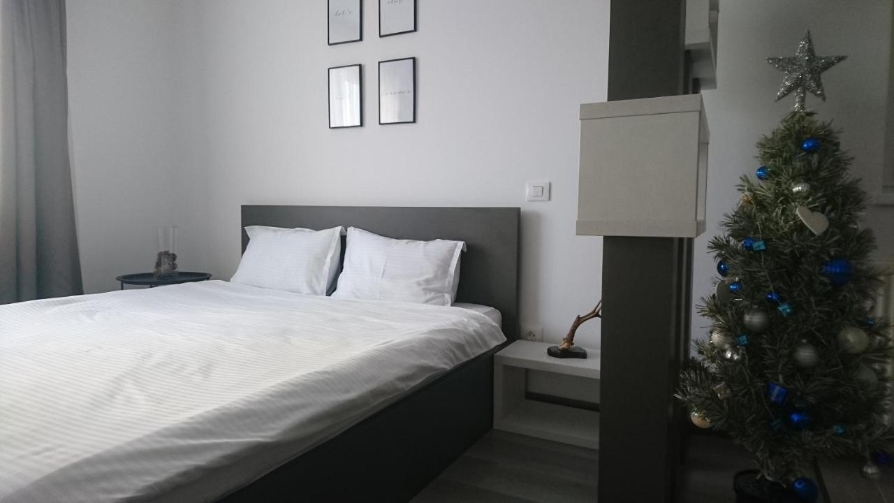 Suite Life Braşov Buitenkant foto
